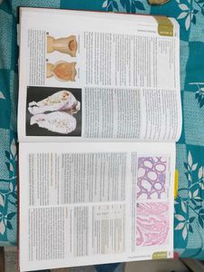 Textbook of Pathology