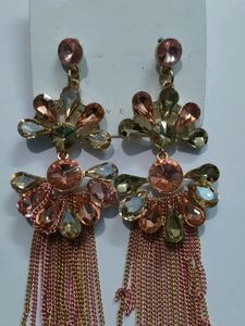 Beautiful Earring