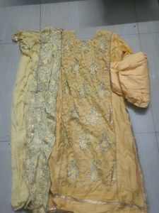 Elegant Ethnic Salwar Suit