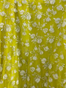 Absolutely Stunning Lehenga Choli