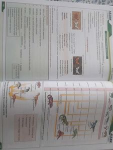 Biology NCERT Fastrack Allen