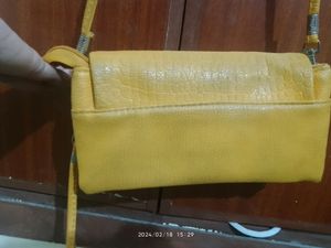 Mustard Color Purse