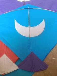 Colorful $CHAMPIONS$ KitesPack of 30