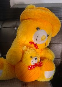 Beautiful Teddy Bear 💯 New