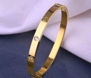 Cartier Gold Stainless Steel Love Bracelet