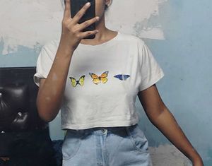 White Top