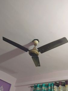 1200 Mm Ceiling Fans Brown Cream Colour