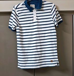 Roadster Striped T-Shirt