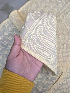 Elegant Embroidered Chicken Cotton Kurti