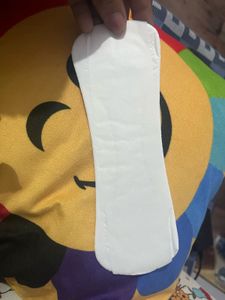 Equalife Panty Liners