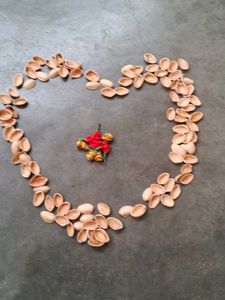 Pistachios Shells 110 Pieces