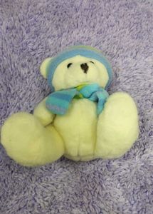 Teddy Bear In Winter Cloth Accessories