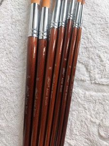 Artist Paint Brush Set