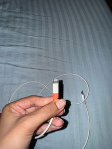 Apple Charging Cable