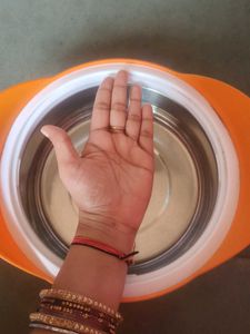 Orange Microwave Steamer