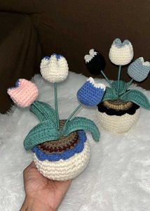 Crochet Tulip Plant Decorations Any One
