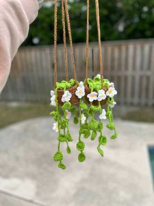 Crochet Car Hanging Plants And Flowers