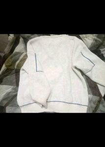 pinteresty teddy sweater