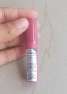 Etude Fixing Tint Cranberry Plum