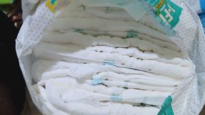 B-Fit Adult Diapers XL