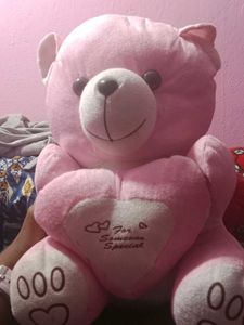 Pink Teddy Bear