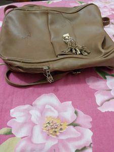Charlie Bag And Hair Bush