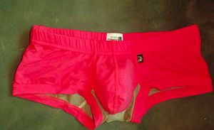 Red Divine Permanent Briefs