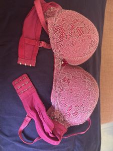 Burgundy Lace Padded Bra