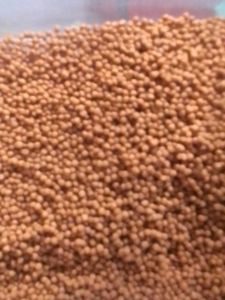 Best Quality Fish Food