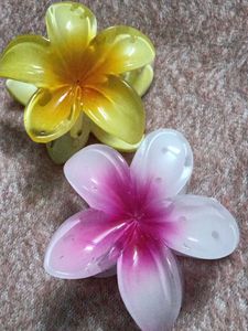 floral claw clip