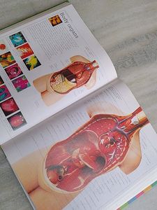 🎉VISUAL DICTIONARY Offer 🎉