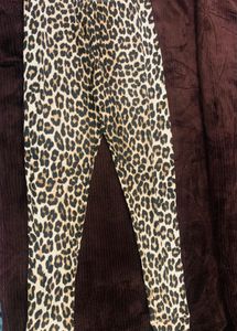 Cheetah Skin Activewear Pants – Khaki Dominant |