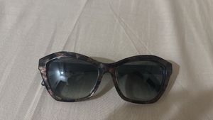 Roberto Cavalli Designer Sunglasses