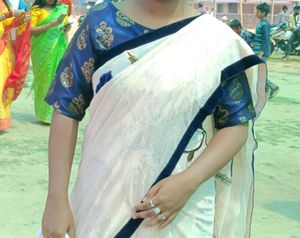 Elegant Blue & Gold Sari Blouse