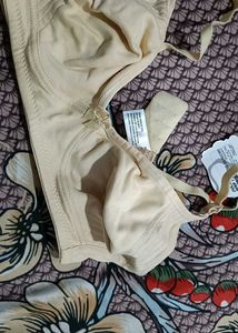 Wholesale Bra Set Of 5
