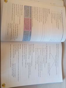 English Grammar Book - Class 8