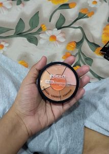 Insight Pro Concealer Palette