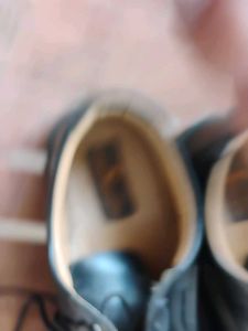 formal shoes