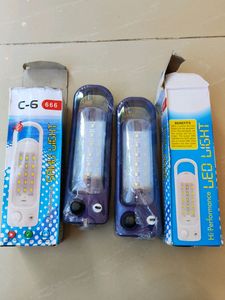 FESTIVAL OFFER Led Light Pair