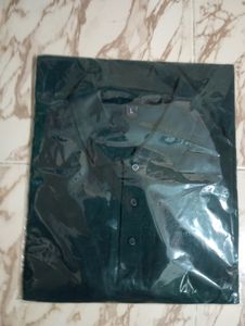 TEAL GREEN T Shirt