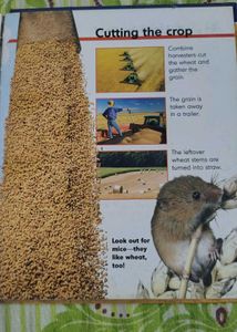 Farm Book