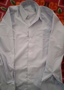 Navy blue Casual Shirt