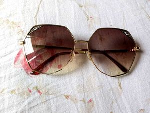 Carlton London Women UV Protected Sunglasses