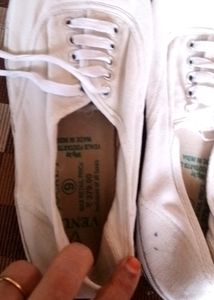 Canvas Shoes