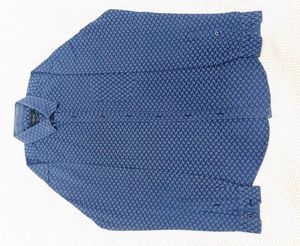 Zara Shirt