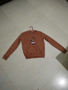 Jenifer Style Brown Color T-shirt