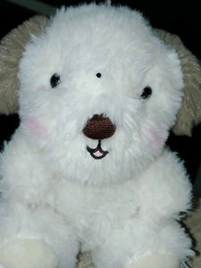 Adorable Plush teddy Toy