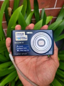 SONY CYBERSHOT DSC-W510 Digital Camera