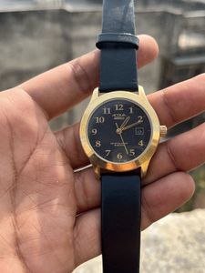 Timex Acqua Indiglo Romolo Watch