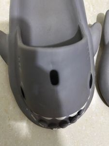 Grey Shark Slides